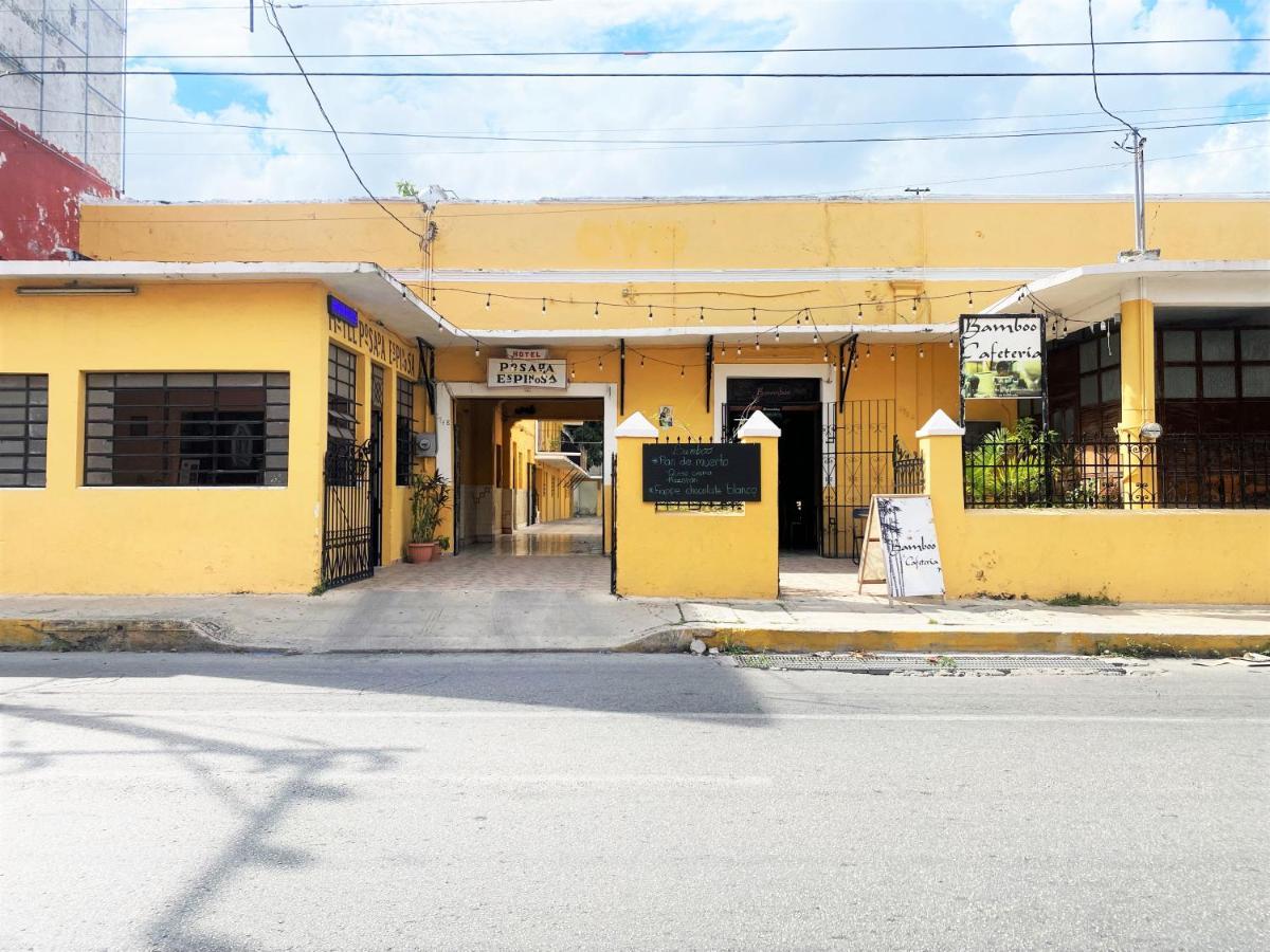 Oyo Posada Espinosa, Merida, Parque De Santa Ana Esterno foto