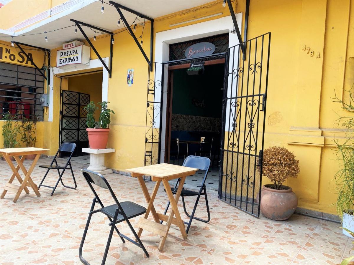 Oyo Posada Espinosa, Merida, Parque De Santa Ana Esterno foto
